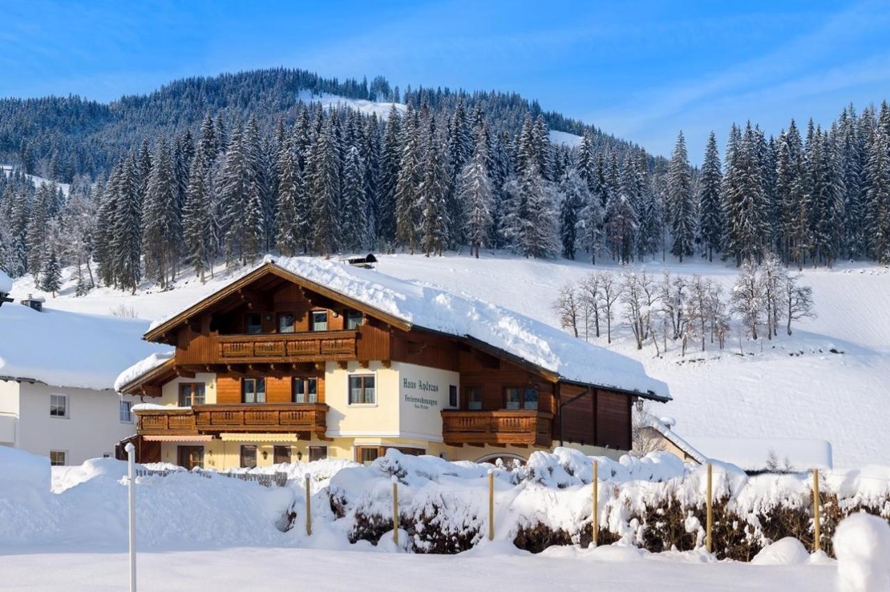 Ferienhaus Andreas Flachau Dış mekan fotoğraf