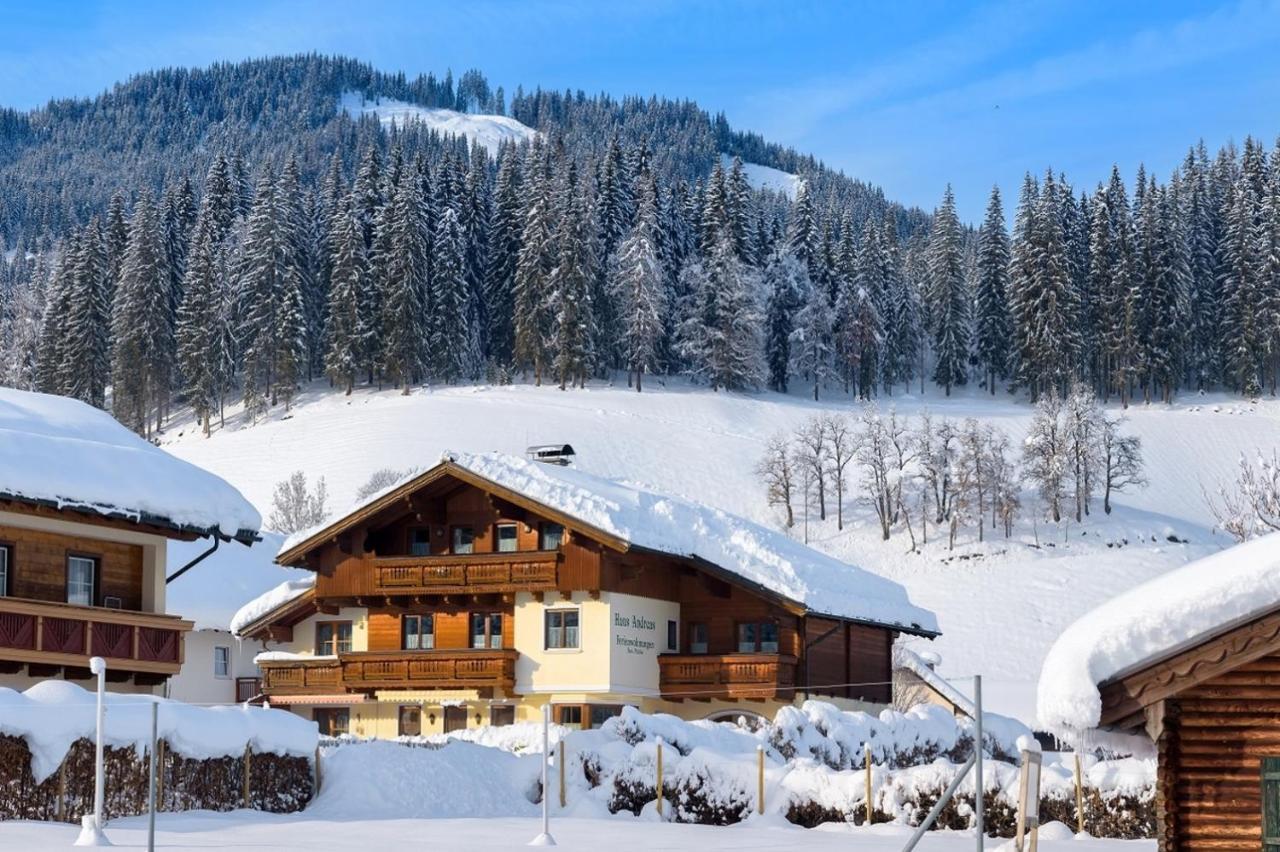Ferienhaus Andreas Flachau Dış mekan fotoğraf